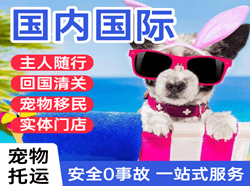 呼伦贝尔航空托运国际宠物托运 【国